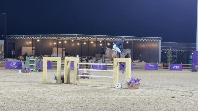 ركوب الخيل في يوم التطوع، مناسبة لشكر المتطوعين على جهودهم والتوعية بمساهماتهم في المجتمع، المملكة العربية السعودية، يوم التطوع العالمي 2025 في مركز الملك عبد العزيز الثقافي العالمي (إثراء)، زيادة الوعي العام حول أهمية العمل التطوعي في التنمية الاجتماعية