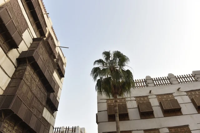 معالم تاريخية في جدة البلد ، المباني الأثرية في البلد التاريخي في مدينة جدة، الرواشين القديمه في المدينة التاريخية في جدة بتصميم معماري عربي و إسلامي قديم ، أماكن سياحية تاريخية في المملكة العربية السعودية ، معالم أثرية في اليونسكو ، مدينة جدة التاريخية