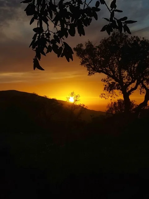 جمال الطبيعة والاهتمام بها ، صورة لطبيعة ومرتفعات وقت الغروب في المملكة العربية السعودية ،   المملكة العربية السعودية ، السياحة في السعودية، جمال الشمس و روعتها أثناء الغروب ،الأشجار والنباتات في الأراضي الزراعية والمساحات الخضراء الواسعة