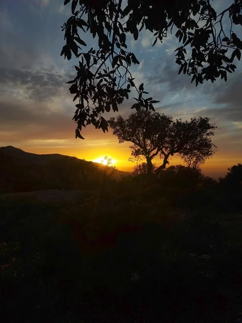 جمال الطبيعة والاهتمام بها ، صورة لطبيعة ومرتفعات وقت الغروب في المملكة العربية السعودية ،   المملكة العربية السعودية ، السياحة في السعودية، جمال الشمس و روعتها أثناء الغروب ،الأشجار والنباتات في الأراضي الزراعية والمساحات الخضراء الواسعة