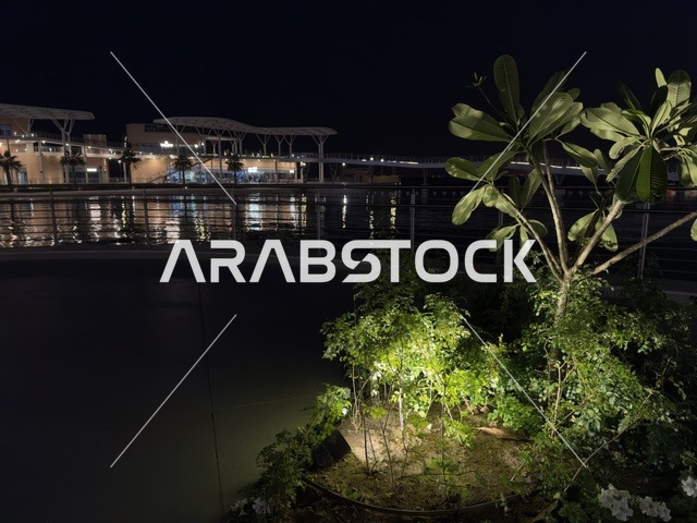 الاشجار والنباتات الخضراء ، مجمع ذا موف بمدينة الجبيل الصناعية  في المنطقة الشرقية، معلم ترفيهي وتجاري متكامل، وجهة ترفيهية عصرية لكورنيش الجبيل ، مقاهي ومطاعم للعائلات والشباب، أجواء نابضة بالحياة لعام ٢٠٢٥