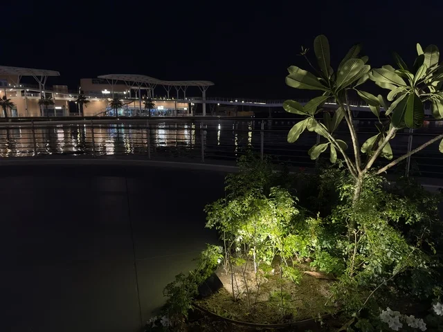 الاشجار والنباتات الخضراء ، مجمع ذا موف بمدينة الجبيل الصناعية  في المنطقة الشرقية، معلم ترفيهي وتجاري متكامل، وجهة ترفيهية عصرية لكورنيش الجبيل ، مقاهي ومطاعم للعائلات والشباب، أجواء نابضة بالحياة لعام ٢٠٢٥