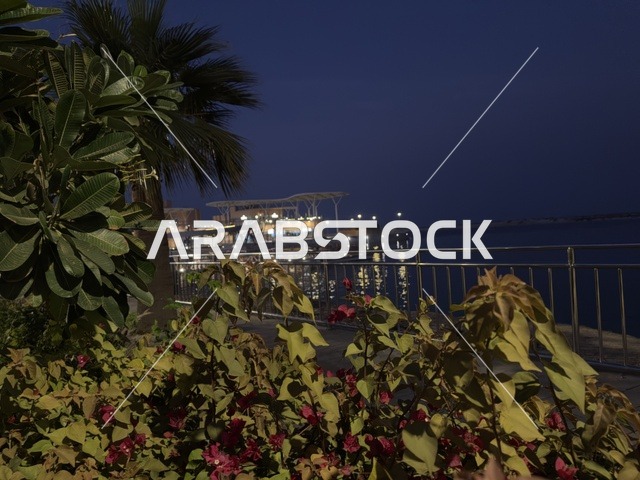 الاشجار والنباتات الخضراء ، مجمع ذا موف بمدينة الجبيل الصناعية  في المنطقة الشرقية، معلم ترفيهي وتجاري متكامل، وجهة ترفيهية عصرية لكورنيش الجبيل ، مقاهي ومطاعم للعائلات والشباب، أجواء نابضة بالحياة لعام ٢٠٢٥