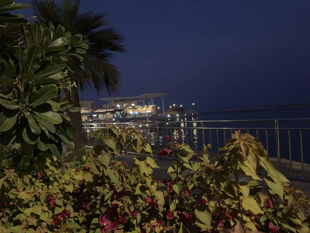 The green trees and plants, The Move complex in Jubail Industrial City in the Eastern Province, is a complete entertainment and commercial landmark, a modern recreational destination for the Jubail Corniche, with cafes and restaurants for families and youth, a vibrant atmosphere for the year 2025.