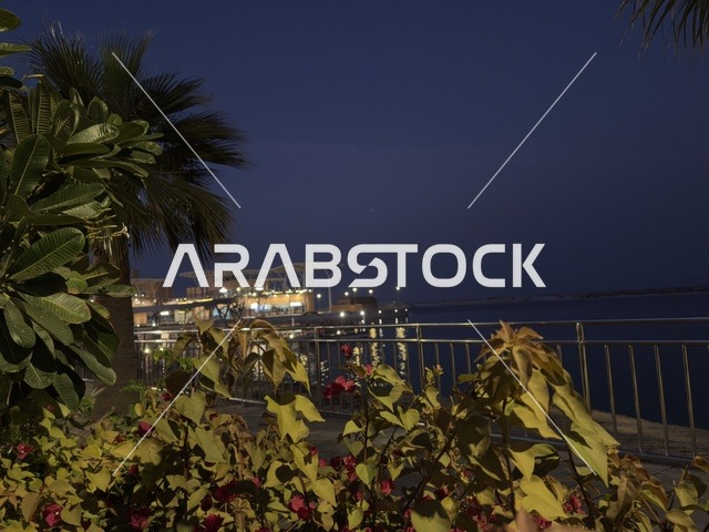 ملتقى الترفيه والتسوق،  الاشجار والنباتات الخضراء فى مجمع ذا موف بمدينة الجبيل الصناعية  في المنطقة الشرقية،  مقاهي ومطاعم للعائلات والشباب ، معلم ترفيهي وتجاري متكامل، أجواء نابضة بالحياة لعام ٢٠٢٥