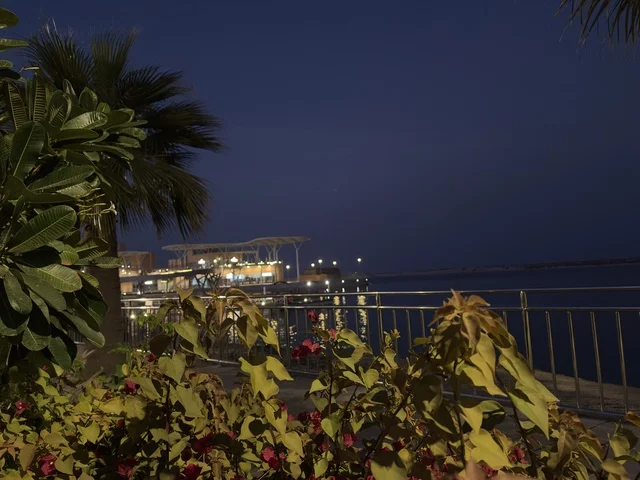 ملتقى الترفيه والتسوق،  الاشجار والنباتات الخضراء فى مجمع ذا موف بمدينة الجبيل الصناعية  في المنطقة الشرقية،  مقاهي ومطاعم للعائلات والشباب ، معلم ترفيهي وتجاري متكامل، أجواء نابضة بالحياة لعام ٢٠٢٥