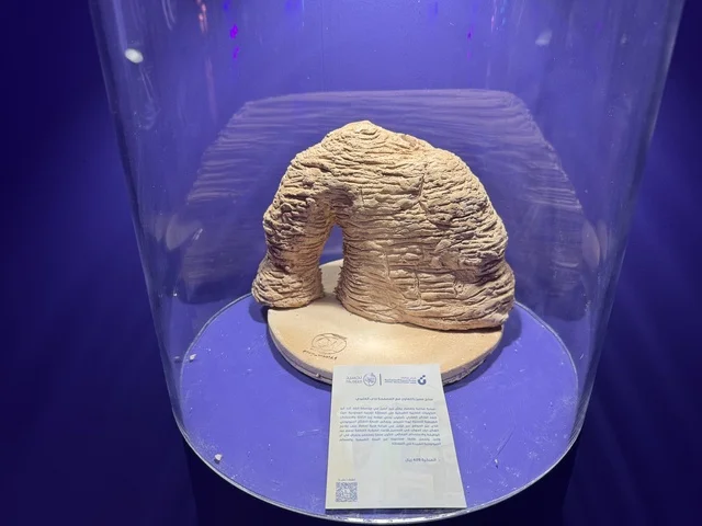 A model of the Elephant Mountain in the Al-Ula region at the Entrepreneurship Forum and Modern Work Styles (DeveGo 2025) at the King Abdulaziz International Conference Center in Riyadh, from December 21 to 23, 2025, gathering entrepreneurs, experts, and visitors, the future of freelancing and modern technologies.