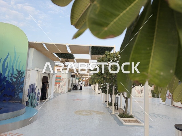 وجهة سياحية بحرية ، مطاعم ومقاهي متنوعة  فى تكية بحر فى المنطقه الشرقيه بالدمام يوم ٢٤ من ديسمبر ٢٠٢٥، المملكة العربية السعودية  ، أنشطة ترفيهية ممتعه ، تجربة استثنائية على ضفاف الساحل