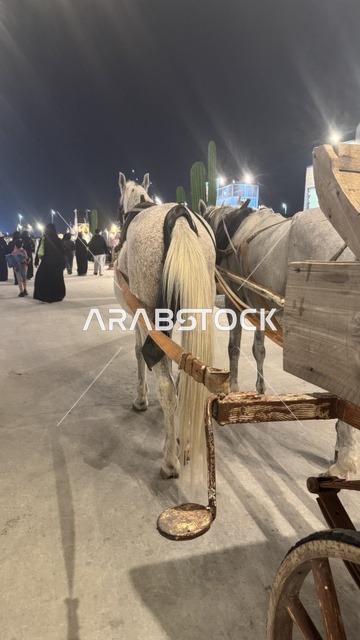 ممارسة نشاط ركوب الخيل في بلدة ساوث ويست (الكاوبوي) في حي الزهراء على طريق الملك عبدالعزيز في مدينة جدة لعام 2025، وجهة ترفيهية سياحية، أنشطة متنوعة في الهواء الطلق، مكان لقضاء وقت ممتع في المملكة العربية السعودية، مباني على الطراز الكلاسيكي الغربي