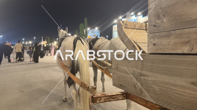 ممارسة نشاط ركوب الخيل في بلدة ساوث ويست (الكاوبوي) في حي الزهراء على طريق الملك عبدالعزيز في مدينة جدة لعام 2025، وجهة ترفيهية سياحية، أنشطة متنوعة في الهواء الطلق، مكان لقضاء وقت ممتع في المملكة العربية السعودية، مباني على الطراز الكلاسيكي الغربي