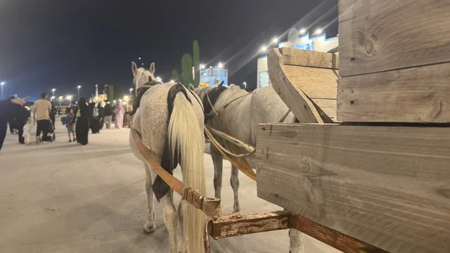 ممارسة نشاط ركوب الخيل في بلدة ساوث ويست (الكاوبوي) في حي الزهراء على طريق الملك عبدالعزيز في مدينة جدة لعام 2025، وجهة ترفيهية سياحية، أنشطة متنوعة في الهواء الطلق، مكان لقضاء وقت ممتع في المملكة العربية السعودية، مباني على الطراز الكلاسيكي الغربي