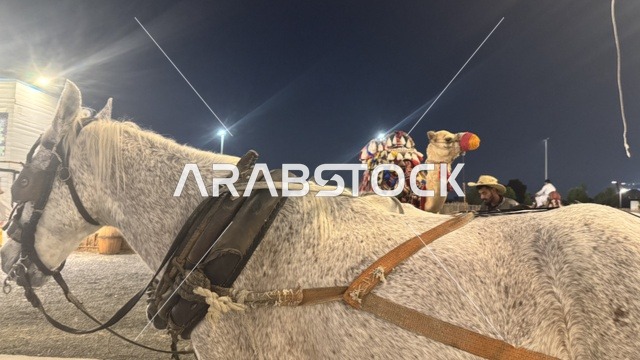 ممارسة نشاط ركوب الخيل في بلدة ساوث ويست (الكاوبوي) في حي الزهراء على طريق الملك عبدالعزيز في مدينة جدة لعام 2025، وجهة ترفيهية سياحية، أنشطة متنوعة في الهواء الطلق، مكان لقضاء وقت ممتع في المملكة العربية السعودية، مباني على الطراز الكلاسيكي الغربي