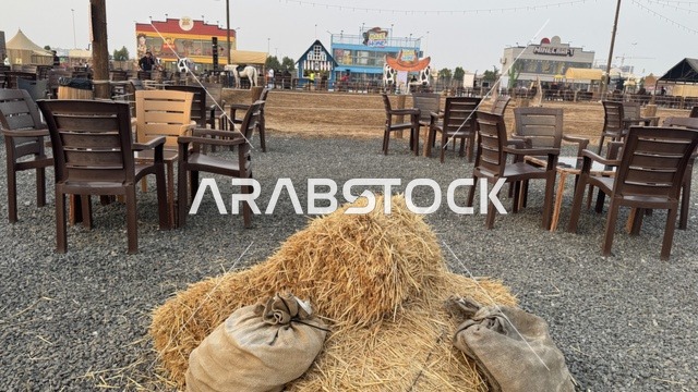 جلسة خارجية هادئة، وجهه سياحية ترفيهية، بلدة ساوث ويست (الكاوبوي) في حي الزهراء على طريق الملك عبد العزيز في مدينة جدة لعام 2025، ارتداء زي الكاوبوي الامريكية، مكان لقضاء وقت ممتع في المملكة العربية السعودية، مباني على الطراز الكلاسيكي الغربي