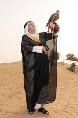 مكانة الصقور في التاريخ الاماراتي، فن ترويض الطيور المفترسة، تنمية قدرات الطيور من خلال تربيتها، تدريب الصقر الجارح، رجل عربي خليجي إماراتي مسن يرتدي الكندورة البيضاء والبشت الأسود والشماغ مع العقال يقف فى الصحراء يحمل على يدية صقر، ايماءات السعادة و السرور