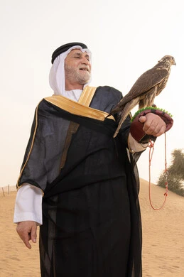 Developing the abilities of birds through breeding, training the falcon, an elderly Emirati Gulf Arab man wearing a white kandura, black bisht, shemagh, and agal stands in the desert holding a falcon on his hands, the status of falcons in Emirati history, gestures of happiness and joy