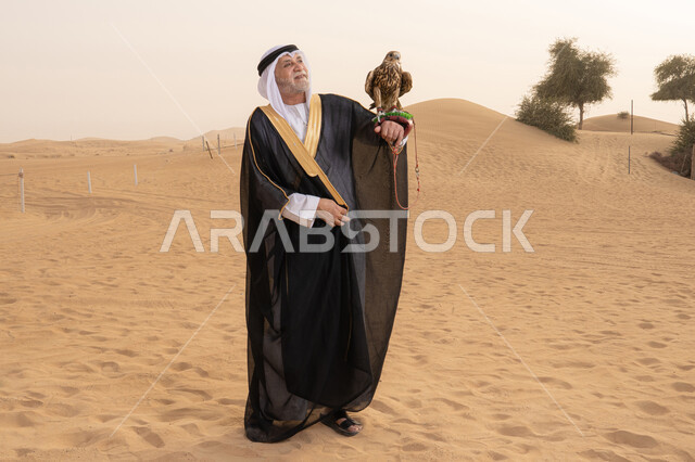 الاهتمام بتربية الطيور و تدريبها، التراث الإماراتي الأصيل, مفهوم الأصالة والحفاظ على الموروث الشعبي, رجل عربي خليجي إماراتي مسن يرتدي الكندورة البيضاء والبشت الأسود والشماغ مع العقال  يقف فى الصحراء يحمل على يدية صقر و ينظر الية, رياضة الصقارة وأجواء بدوية تعكس الهوية الوطنية