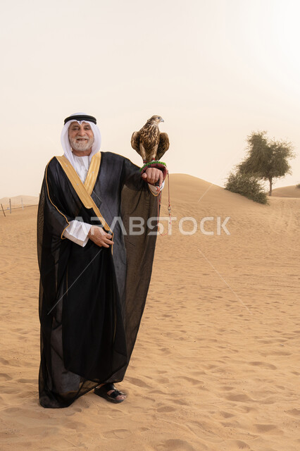 التراث الإماراتي الأصيل, مفهوم الأصالة والحفاظ على الموروث الشعبي, رجل عربي خليجي إماراتي مسن يرتدي الكندورة البيضاء والبشت الأسود والشماغ مع العقال يحمل صقر في الصحراء, رياضة الصقارة وأجواء بدوية تعكس الهوية الوطنية