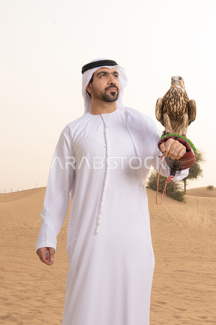 النظر الى شيء ما فى الاعلى، تدريب الصقر الجارح، الاهتمام بتربيه الطيور البرية, مكانة الصقور في التاريخ الاماراتي ، رجل عربي خليجي اماراتي يرتدي الكندورة و الغتره البيضاء يقف فى الصحراء يحمل على يده طائر الصقر