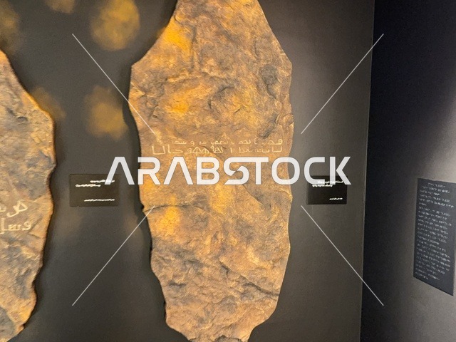 تعزيز مهارات اللغة والتواصل، معرض اللغة العربية للكبار فى مجمع الملك سلمان العالمي للغة العربية بالرياض ، المملكة العربية السعودية ، يوم 11 من ديسمبر 2025 ، أنشطة ثقافية وفكرية متنوعة، تطوير المهارات اللغوية والكتابية، محاضرات وورش احترافية