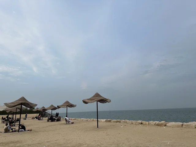 وجهة ترفيهية مفتوحة فى ممشى همس فى المنطقة الشرقية، المملكة العربية السعودية ،أجواء عائلية هادئة ، مساحات للمشي والاسترخاء،  تجربة تنزه عصرية، جلسات ومقاعد خارجية ، مطاعم ومقاهي متنوعة