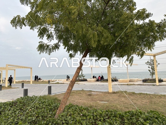 Walking and relaxation areas in Hams Walk in the Eastern Province, Saudi Arabia, a calm family atmosphere, an open recreational destination, a modern walking experience, outdoor seating and benches.
