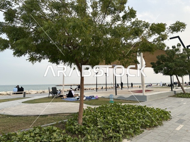 الاشجار والنباتات الخضراء فى ممشى همس فى المنطقة الشرقية، المملكة العربية السعودية ،أجواء عائلية هادئة ، تجربة تنزه عصرية،وجهة ترفيهية مفتوحة، مساحات للمشي والاسترخاء،  جلسات ومقاعد خارجية