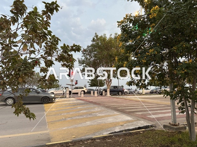 الاشجار والنباتات الخضراء فى ممشى همس فى المنطقة الشرقية، المملكة العربية السعودية ،أجواء عائلية هادئة ، تجربة تنزه عصرية،وجهة ترفيهية مفتوحة، مساحات للمشي والاسترخاء،  جلسات ومقاعد خارجية