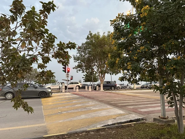 الاشجار والنباتات الخضراء فى ممشى همس فى المنطقة الشرقية، المملكة العربية السعودية ،أجواء عائلية هادئة ، تجربة تنزه عصرية،وجهة ترفيهية مفتوحة، مساحات للمشي والاسترخاء،  جلسات ومقاعد خارجية