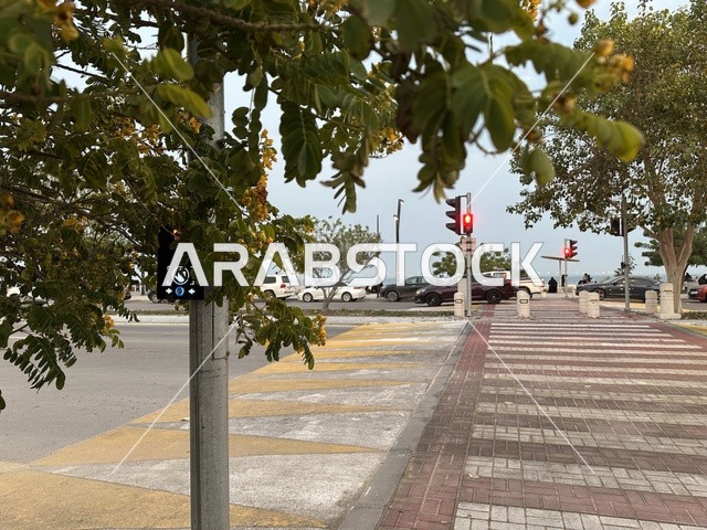 الاشجار والنباتات الخضراء فى ممشى همس فى المنطقة الشرقية، المملكة العربية السعودية ،أجواء عائلية هادئة ، تجربة تنزه عصرية،وجهة ترفيهية مفتوحة، مساحات للمشي والاسترخاء،  جلسات ومقاعد خارجية