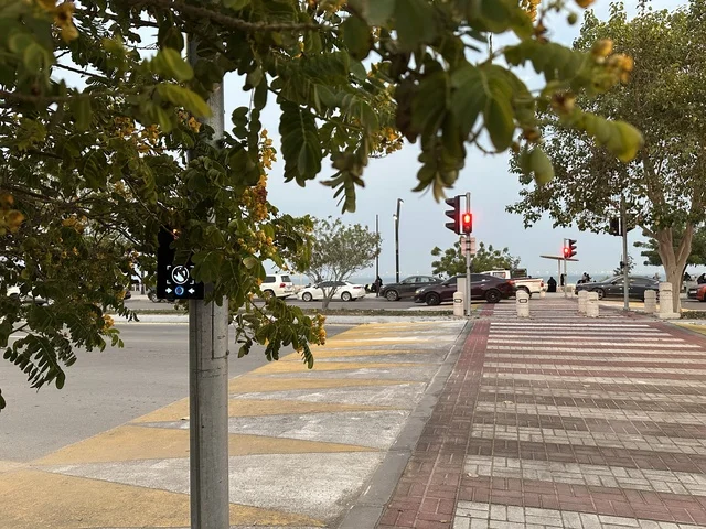 الاشجار والنباتات الخضراء فى ممشى همس فى المنطقة الشرقية، المملكة العربية السعودية ،أجواء عائلية هادئة ، تجربة تنزه عصرية،وجهة ترفيهية مفتوحة، مساحات للمشي والاسترخاء،  جلسات ومقاعد خارجية