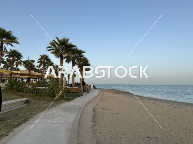 ممشى رملي وسط النخيل، سولت البحر وجهة ترفيهية وشاطئية عائلية تقع على طريق الكورنيش في الخبر في المملكة العربية السعودية، تجديدات إضافية وتطويرات في 3  يناير 2026، أنشطة متنوعة ترامبولين للأطفال، التجديف وطاولات التنس، مكان صديق للحيوانات الأليفة