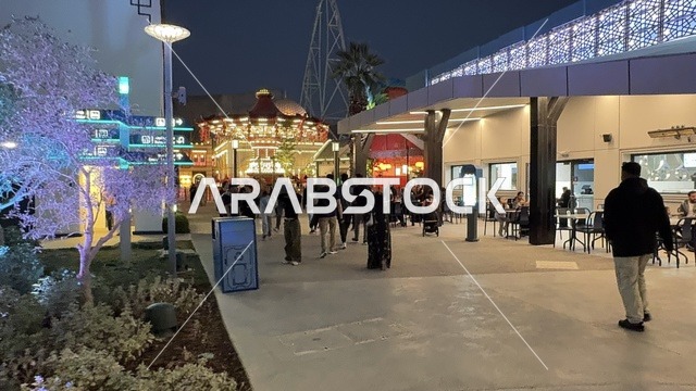 اكبر مشروع عملاق لمدينة ترفيهية تحمل علامة ستة أعلام التجارية في السعودية، أول منتزه ترفيهي لستة أعلام خارج أميركا الشمالية، مدينة 6 فلاجز القدية في ثاني يوم من الافتتاح 1 يناير 2026 ، استراتيجية رؤية السعودية 2030