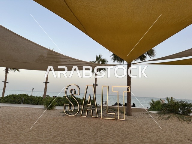 1767100296CmsZzKwbfT