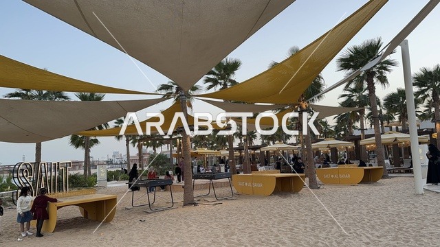 أشجار نخيل أضواء صغيرة حول جذوعها، سولت البحر وجهة ترفيهية وشاطئية عائلية تقع على طريق الكورنيش في الخبر في المملكة العربية السعودية، تجديدات إضافية وتطويرات في 3  يناير 2026، شاطئ رملي مع وجود مظلات وأشجار نخيل