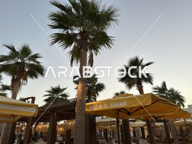 الأثاث الخشبي والمظلات في الخلفية،  شاطئ رملي مع وجود مظلات وأشجار نخيل، سولت البحر وجهة ترفيهية وشاطئية عائلية تقع على طريق الكورنيش في الخبر في المملكة العربية السعودية، تجديدات إضافية وتطويرات في 3  يناير 2026