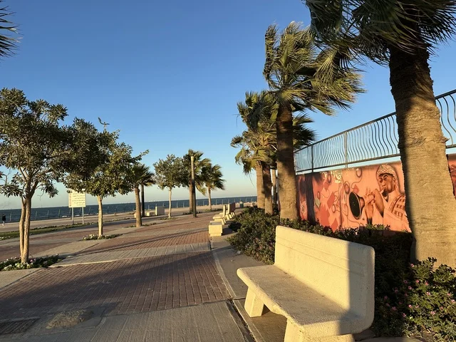 مساحة واشجار ونباتات خضراء، الواجهة البحرية في مدينة الدمام في وقت الغروب، منطقة حيوية ومتنفس رئيسي لسكان وزوار المنطقة الشرقية، كورنيش مطل على الخليج العربي في المملكة العربية السعودية