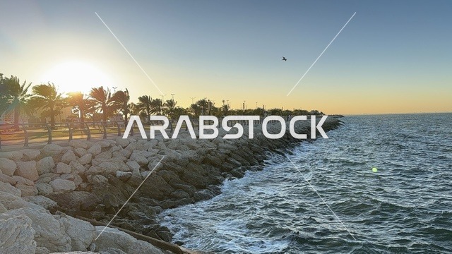 مساحة واشجار ونباتات خضراء، الواجهة البحرية في مدينة الدمام في وقت الغروب، منطقة حيوية ومتنفس رئيسي لسكان وزوار المنطقة الشرقية، كورنيش مطل على الخليج العربي في المملكة العربية السعودية