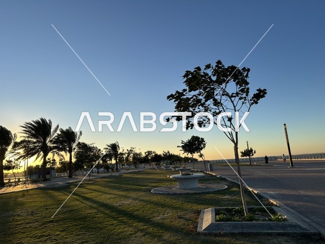مساحة واشجار ونباتات خضراء، الواجهة البحرية في مدينة الدمام في وقت الغروب، منطقة حيوية ومتنفس رئيسي لسكان وزوار المنطقة الشرقية، كورنيش مطل على الخليج العربي في المملكة العربية السعودية