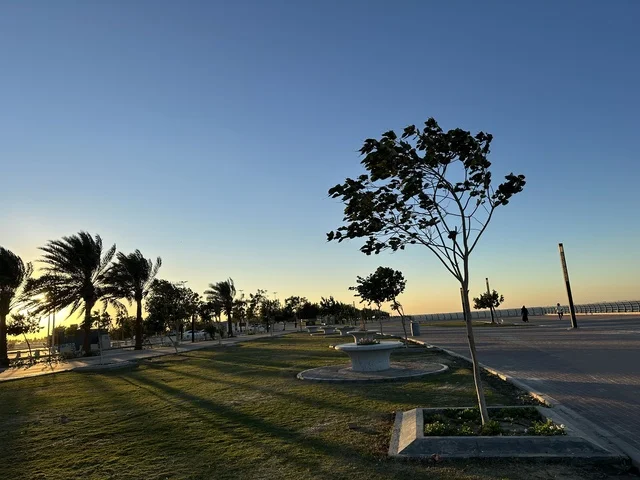 مساحة واشجار ونباتات خضراء، الواجهة البحرية في مدينة الدمام في وقت الغروب، منطقة حيوية ومتنفس رئيسي لسكان وزوار المنطقة الشرقية، كورنيش مطل على الخليج العربي في المملكة العربية السعودية