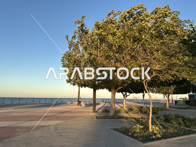 مساحة واشجار ونباتات خضراء، الواجهة البحرية في مدينة الدمام في وقت الغروب، منطقة حيوية ومتنفس رئيسي لسكان وزوار المنطقة الشرقية، كورنيش مطل على الخليج العربي في المملكة العربية السعودية