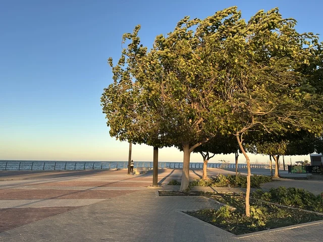 مساحة واشجار ونباتات خضراء، الواجهة البحرية في مدينة الدمام في وقت الغروب، منطقة حيوية ومتنفس رئيسي لسكان وزوار المنطقة الشرقية، كورنيش مطل على الخليج العربي في المملكة العربية السعودية