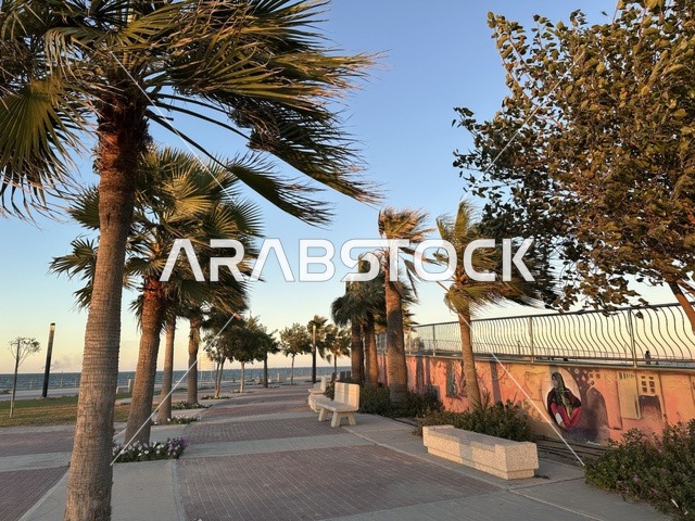 مساحة واشجار ونباتات خضراء، الواجهة البحرية في مدينة الدمام في وقت الغروب، منطقة حيوية ومتنفس رئيسي لسكان وزوار المنطقة الشرقية، كورنيش مطل على الخليج العربي في المملكة العربية السعودية