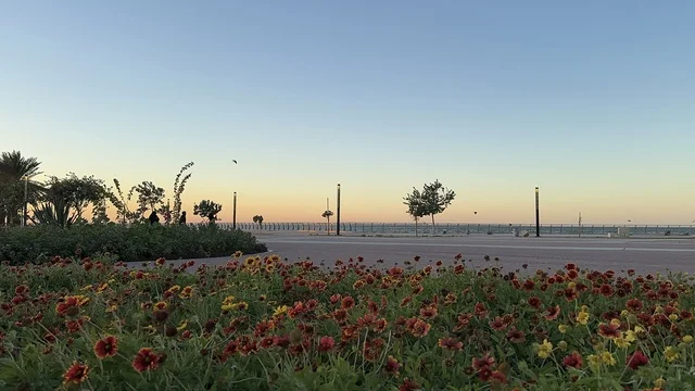 مساحة واشجار ونباتات خضراء، الواجهة البحرية في مدينة الدمام في وقت الغروب، منطقة حيوية ومتنفس رئيسي لسكان وزوار المنطقة الشرقية، كورنيش مطل على الخليج العربي في المملكة العربية السعودية