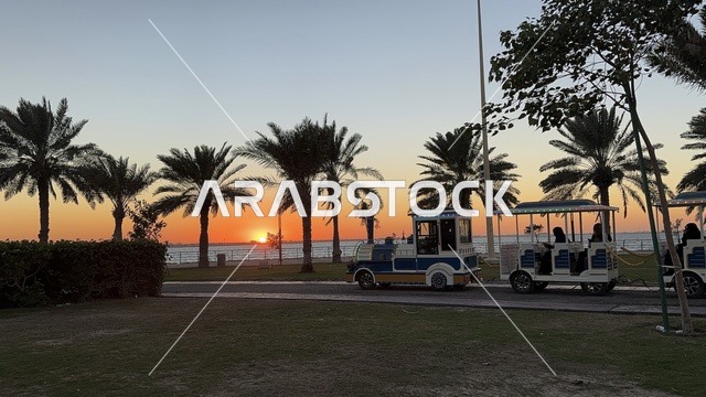 اشجار النخيل الخضراء، الواجهة البحرية في مدينة الدمام في وقت الغروب، منطقة حيوية ومتنفس رئيسي لسكان وزوار المنطقة الشرقية، كورنيش مطل على الخليج العربي في المملكة العربية السعودية