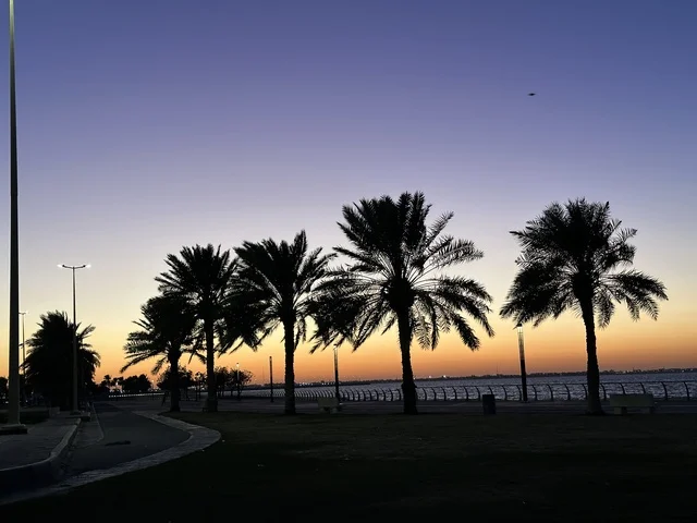 اشجار النخيل الخضراء، الواجهة البحرية في مدينة الدمام في وقت الغروب، منطقة حيوية ومتنفس رئيسي لسكان وزوار المنطقة الشرقية، كورنيش مطل على الخليج العربي في المملكة العربية السعودية