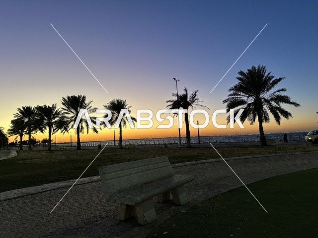 اشجار النخيل الخضراء، الواجهة البحرية في مدينة الدمام في وقت الغروب، منطقة حيوية ومتنفس رئيسي لسكان وزوار المنطقة الشرقية، كورنيش مطل على الخليج العربي في المملكة العربية السعودية