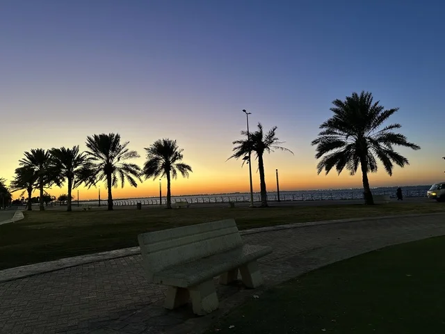 اشجار النخيل الخضراء، الواجهة البحرية في مدينة الدمام في وقت الغروب، منطقة حيوية ومتنفس رئيسي لسكان وزوار المنطقة الشرقية، كورنيش مطل على الخليج العربي في المملكة العربية السعودية