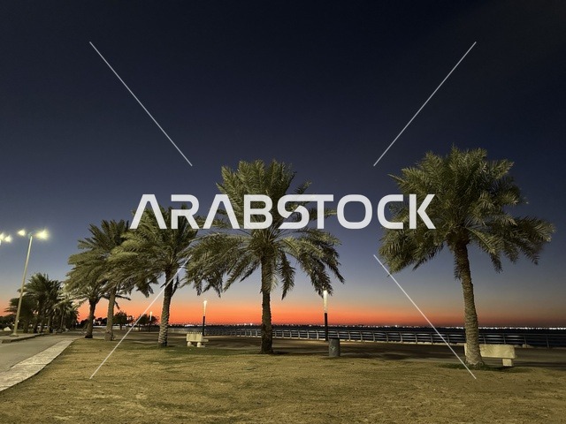 اشجار النخيل الخضراء، الواجهة البحرية في مدينة الدمام في وقت الغروب، منطقة حيوية ومتنفس رئيسي لسكان وزوار المنطقة الشرقية، كورنيش مطل على الخليج العربي في المملكة العربية السعودية