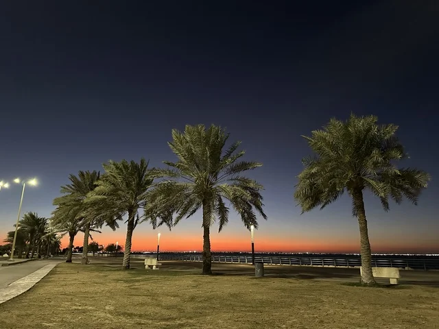 اشجار النخيل الخضراء، الواجهة البحرية في مدينة الدمام في وقت الغروب، منطقة حيوية ومتنفس رئيسي لسكان وزوار المنطقة الشرقية، كورنيش مطل على الخليج العربي في المملكة العربية السعودية