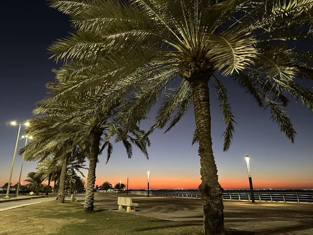 اشجار النخيل الخضراء، الواجهة البحرية في مدينة الدمام في وقت الغروب، منطقة حيوية ومتنفس رئيسي لسكان وزوار المنطقة الشرقية، كورنيش مطل على الخليج العربي في المملكة العربية السعودية